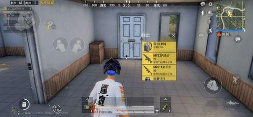 巡查员最新爆料新闻,揭露城市绿化带惊人秘密 第1张 巡查员最新爆料新闻,揭露城市绿化带惊人秘密 第1张