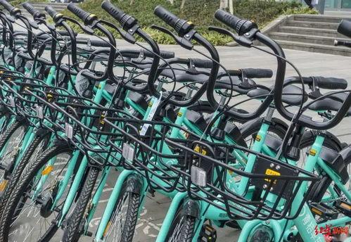 青桔单车最新爆料,揭秘行业变革背后的秘密与未来趋势” 第1张 青桔单车最新爆料,揭秘行业变革背后的秘密与未来趋势” 第1张