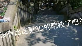 哈三的梦在线观看,在线观看,探索奇幻梦境之旅 第2张 哈三的梦在线观看,在线观看,探索奇幻梦境之旅 第2张